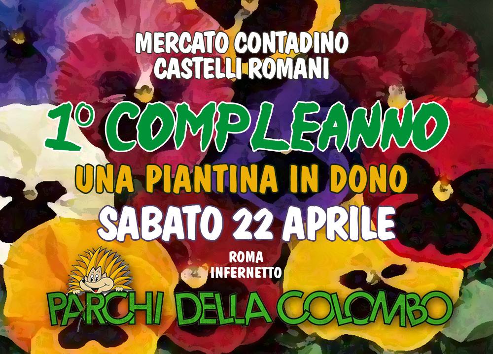 MERCATO CONTADINO DEI CASTELLI ROMANI