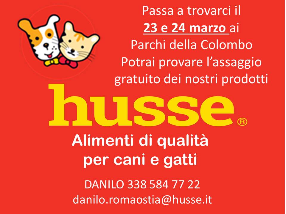 CHIOSCO  HUSSE